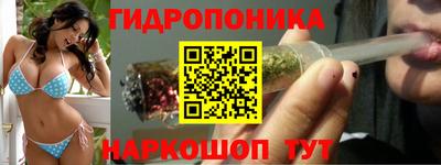 крисы Кимры