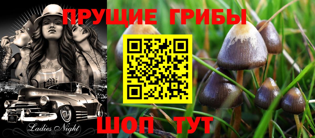 Псилоцибиновые грибы ЛСД Буйнакск